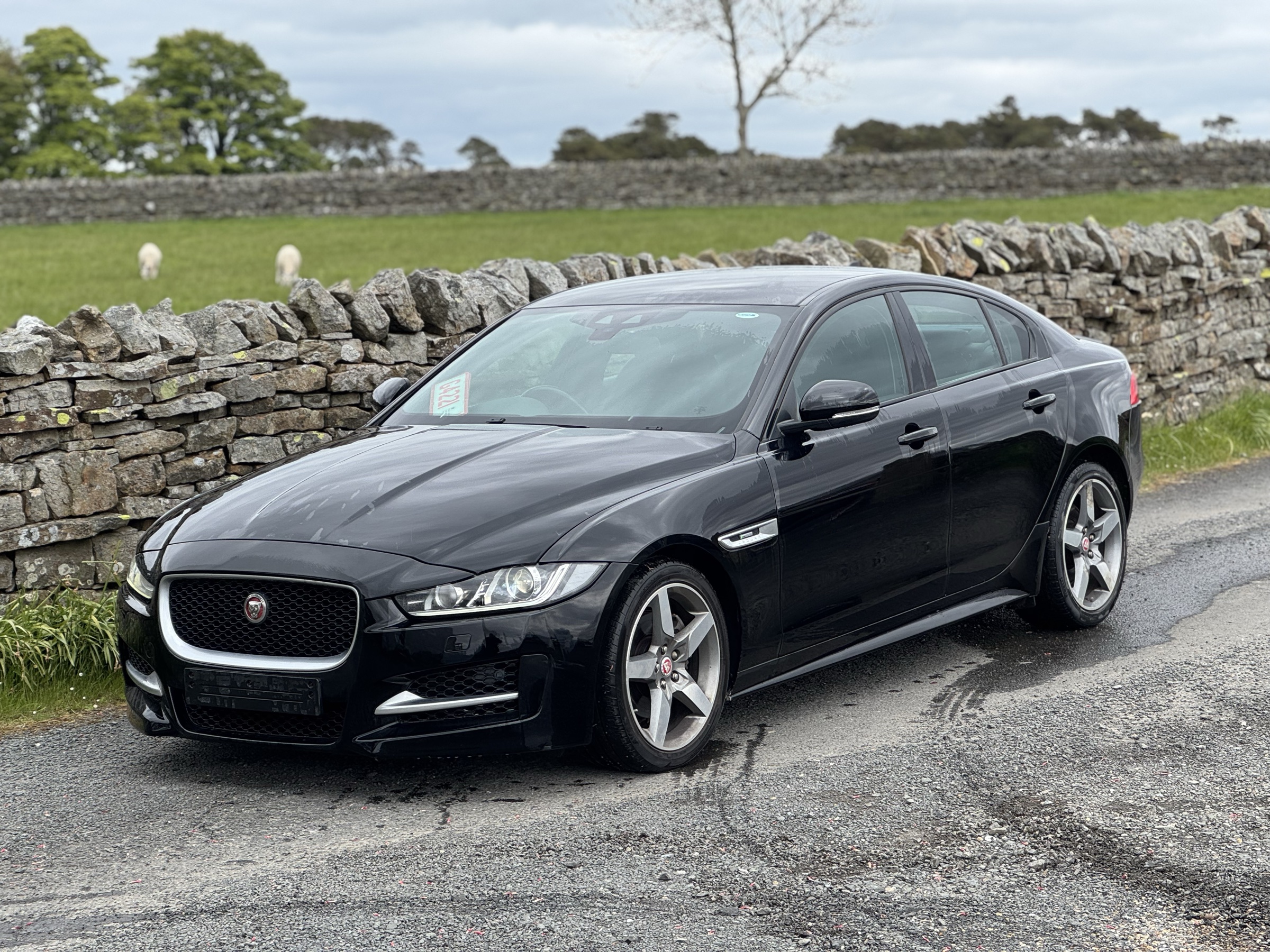 2016 Jaguar XE collected in Bellingham