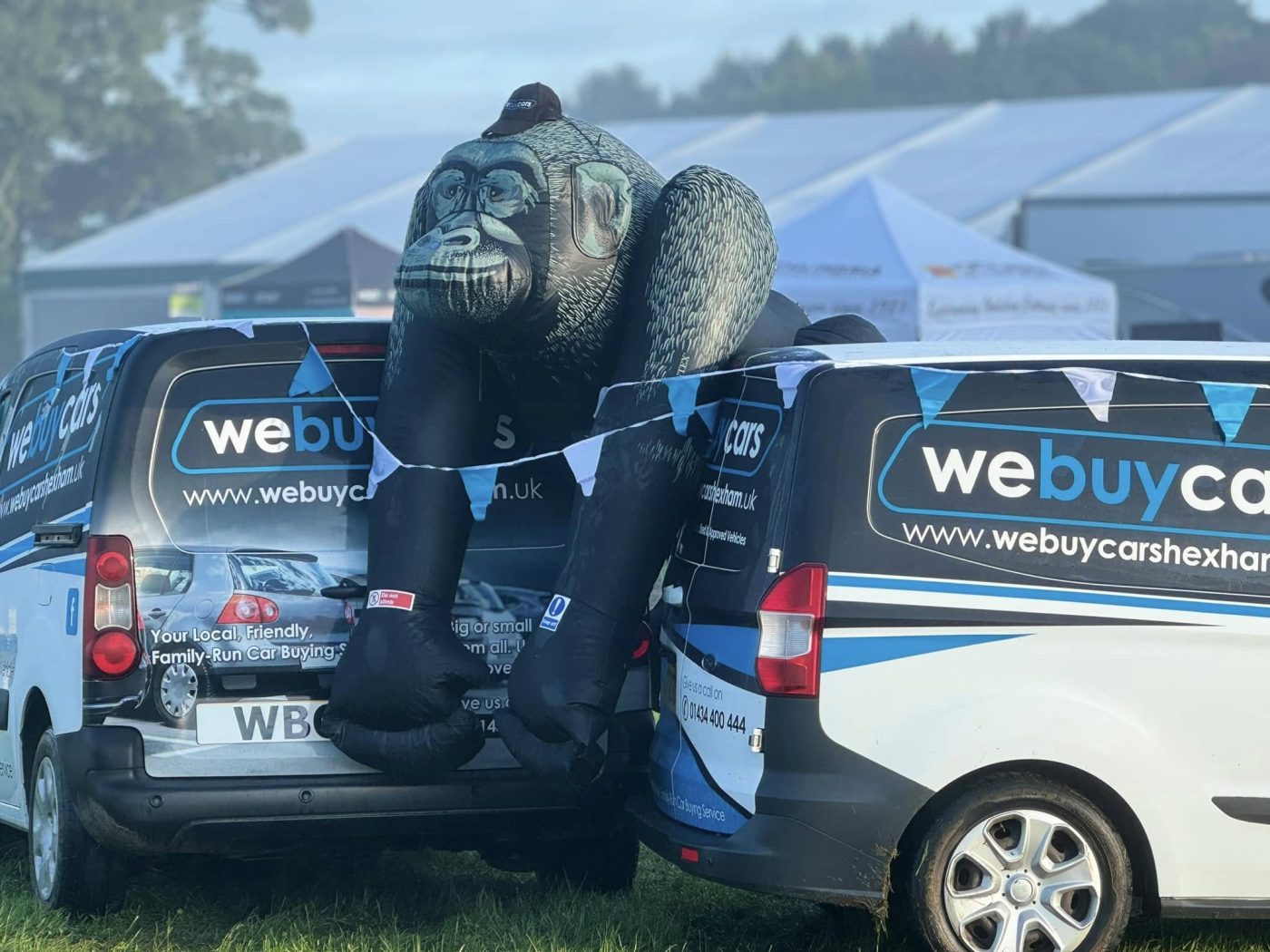 The inflatable gorilla on the We Buy Cars stand at the county show, May 2024