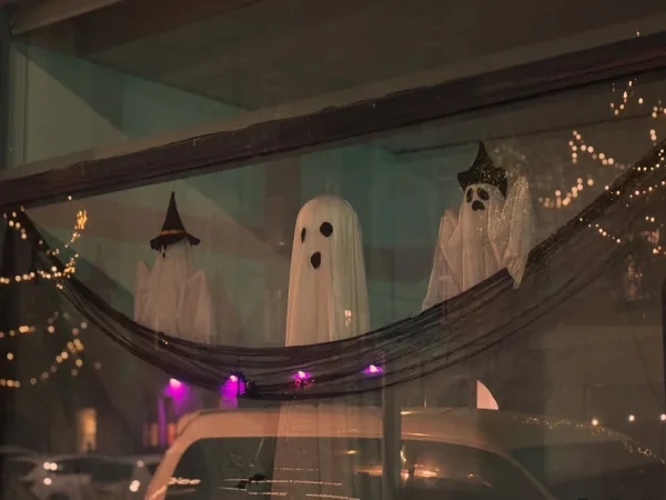 Halloween 2025- We Buy Cars Hexham - Image 14