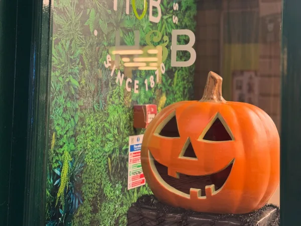 Halloween 2025- We Buy Cars Hexham - Image 18