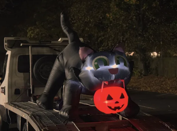 Halloween 2025- We Buy Cars Hexham